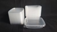 Set 20pcs 4 oz (125ml) Small Plastic Disposable Rectangular Containers Buckets With Lids for Foodstuff. New