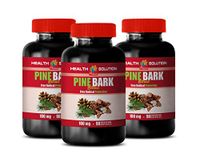 Brain and Memory Support - Pine BARK Extract - Digestive Health Vitamins - 3 Bottles 270 Capsules