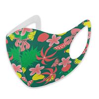 Mouth Masks for Dust Protection Anti Face Mask Washable Earloop Mask Pineapple