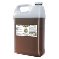 Aloe Vera Alcohol-Free Liquid Extract, Organic Aloe Vera (Aloe Vera) Dried Leaf Glycerite Hawaii Pharm Natural Herbal Supplement 64 oz