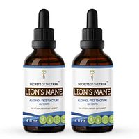 Lion's Mane Alcohol-Free Tincture Extract, Organic Lion's Mane (Hericium erinaceus) Dried Mushroom Tincture Supplement (2x4 fl oz)