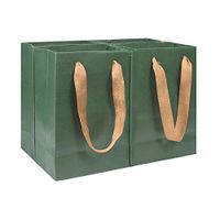 PH PandaHall 10pcs Small Gift Bags Kraft Paper Bags Green Bags for Party Favors, Baby Shower, Birthday Parties, Gifts, Restaurant takeouts, Shopping, Retail(5x2.7x7.5 inches)