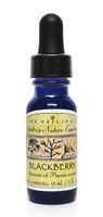 Blackberry Spirit-in-Nature Flower Essences for purity of thought 1/2 oz. (15 ml.)