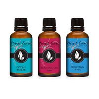 30ML - Trio (3) - Ocean Breeze, Beautiful Day Type & Mountain Rain - Premium Fragrance Oil Trio - 30ML