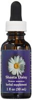 Flower Essence Services Dropper Herbal Supplements, Shasta Daisy, 1 Ounce