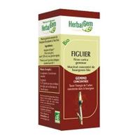 Fig - Herbal Gem