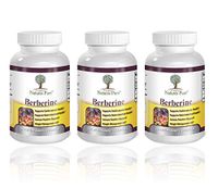 Premium Berberine HCl 500mg - 360 Capsules - Cardiovascular gastrointestinal Immune Weight Loss Support- Chromium Cinnamon