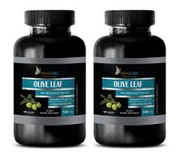 Energy Boost for Women - Olive Leaf Extract 500MG - Dietary Supplements - Brain and Memory herb - 2 Bottles (120 Capsules)
