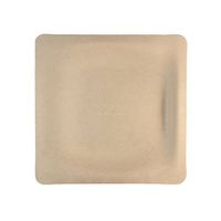 World Centric SQ-SC-7 100% Compostable Unbleached Plant Fiber Square Plates, 7" (Pack of 1000)