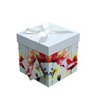Gift Box 5"X5"X5" - Sonia Collection - Easy to Assemble & Reusable - No Glue Required - Ribbon, Tissue Paper, and Gift Tag Included - EZ Gift Box by Endless Art US