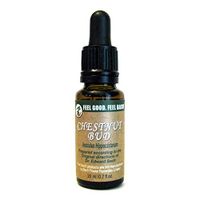 Feel Bach! Flower Chestnut Bud 20 ml