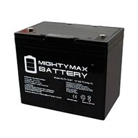 Mighty Max Battery 12V 75AH Internal Thread Battery for Palmer Wheelchair Brand Product