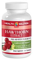 Garlic Pills - Hawthorn Extract (1 Bottle)