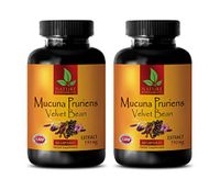 Brain and Memory Supplements - MUCUNA PRURIENS Extract 350 MG - Velvet Beans - Nerve Support Supplement - 2 Bottles 120 Capsules