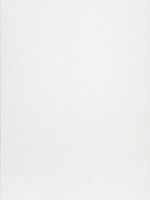 Canson Mi-Teintes Mat Board pearl gray 16 in. x 20 in. [PACK OF 5 ]