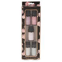 Charming Charlie Scented Essential Oil Set - Aromatherapy Fragrances, Body Care Collection - Giftable Box, Pack of 6