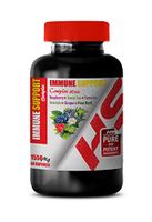 Anti inflammatory Supplement - Immune Support Complex 1550 Mg with Raspberry Green Tea Turmeric GRAVIOLA Grape Pine BARK - graviola guanabana Soursop - 1 Bottle 60 Capsules