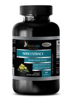 Weight Loss Energy - NONI Extract 500MG - Dietary Supplement - noni Extract - 1 Bottle (60 Capsules)