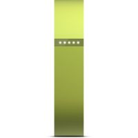 Fitbit Flex Wireless Activity + Sleep Tracker Lime