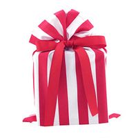 Red and White Striped Reusable Fabric Gift Bag for Birthday, Father's Day or Any Occasion (Standard 10 Inches Wide by 15 Inches High)