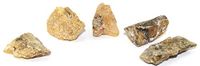 Copal Natural Raw Specimen Set COPAL23