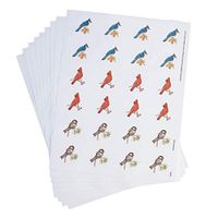 Wild Birds Seals 250