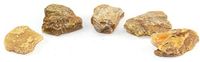 Copal Natural Raw Specimen Set COPAL22