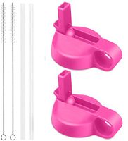 Flgoo Straw Lid for Wide Mouth Water Bottle with Straws and Brush 2 Pack (Flamingo)