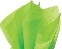 ackaged 48ct Bright Lime Citrus GreenTissue Paper 20 Inch x 30 Inch