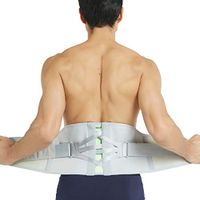 Neotech Care Back Brace - Breathable & Adjustable Support for Lower Back Pain - Double Pulley Compression Straps Lumbar Belt Corset - Grey (Size XS)