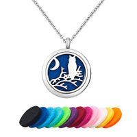EV.YI Jewels Owl with The Moon Essential Oil Diffuser Necklace Aromatherapy Perfume Necklace Locket Pendant for Women Girl Men