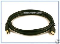 WennoW "10ft USB2.0 A Male to B Male Cable(Gold Plated) w15