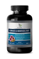 Skin Health Supplement - ECHINACEA and GOLDENSEAL Root - Echinacea Extract Capsules - 1 Bottle 100 Capsules