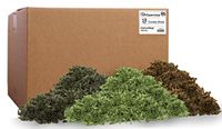 PA Essentials PAW00731 Bulk Crinkle Shred 10lb Box, Camouflage