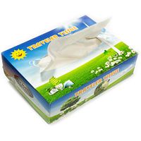 T-Rex Car Tissues, 40 Sheets 2-Ply Soft Facial Tissue Paper (24)