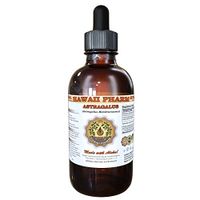 Astragalus (Astragalus membranaceus) Liquid Extract 4 oz
