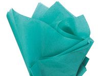 Teal Tissue Paper 20x30" 480 Sheet Flat Ream - Wraps-CTFTE