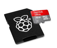 Raspberry Pi 16GB Preloaded (Noobs) SD Card ...