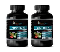 Brain and Memory Power Boost - ADAPTOGEN Premium Complex (ASHWAGANDHA Astragalus MACA) - Astragalus Root Capsules - 2 Bottles 120 Vegetable Capsules
