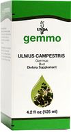 UNDA Gemmo Therapy - Ulmus Campestris - European Field Elm Bud Extract - 4.2 fl. oz.