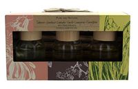 Mini Reed Diffuser Gift Set - Set of 3 Set