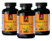 Digestive Support for Women - Dandelion Root 520 MG - Dietary Supplement - Dandelion Root Capsules 180-3 Bottles 540 Capsules