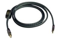 LightSnake STUSBAA6 Illuminated USB A TO A