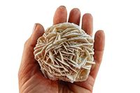 Set of 5 (Five) Raw Selenite Crystal Desert Rose Stones - Spiritual Metaphysical Healing and Enhancement w/Certificate of Authenticity Beverly Oaks Exclusive (x-Large)