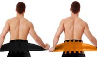 PU Health Top Quality Premium New Shaper Slimming Molding Workout Belt for Men and Women, Black, 16.0 Ounce