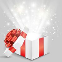 Presently Gifted Mystery Box