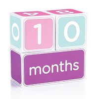 Pearhead Baby Age Photo Sharing Blocks, Pink