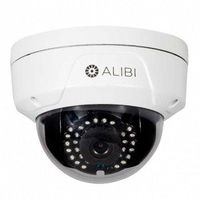 Alibi 1.3 Megapixel 65' IR Vandalproof IP Outdoor Dome Security Camera