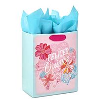 Hallmark VIDA 9" Medium Spanish Gift Bag with Tissue for 15th Birthday (Felices Quince)