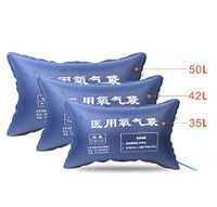 YBZS Emergency Oxygen Bag,1Pcs 42L Large Capacity/Family Elderly Pregnant Women Oxygen/Outdoor Emergency Oxygen Bag/Portable Oxygen Bag,42l